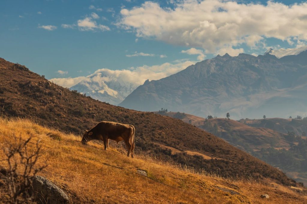 controlar la erosión con biorrollos de coco