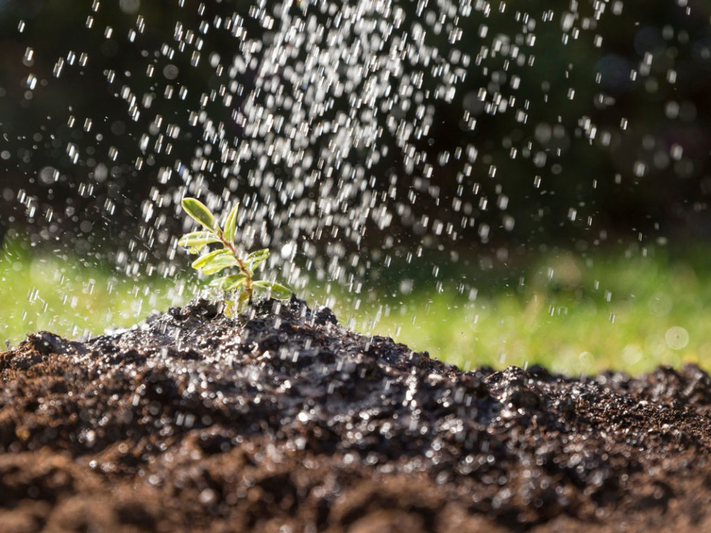claves de la hidrosiembra