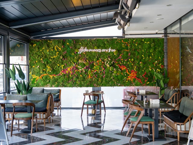 mejores tendencias en jardinería 2025