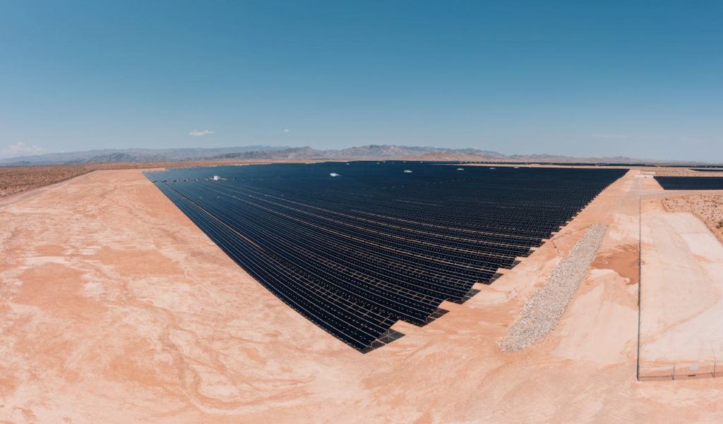 gestión sostenible del suelo en plantas fotovoltaicas