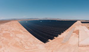 gestión sostenible del suelo en plantas fotovoltaicas