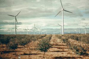 control de la erosión en parques eólicos