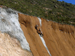 mantas orgánicas semilladas
